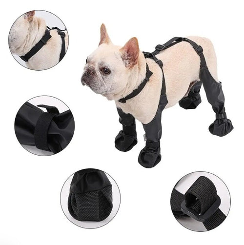 Load image into Gallery viewer, Dog Shoes Waterproof Adjustable Dog Boots
